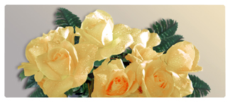 DNSEMP-L-069  Bouquet Of Roses Yellow